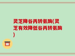 灵芝降谷丙转氨酶(灵芝有效降低谷丙转氨酶)