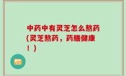 中药中有灵芝怎么熬药(灵芝熬药，药膳健康！)