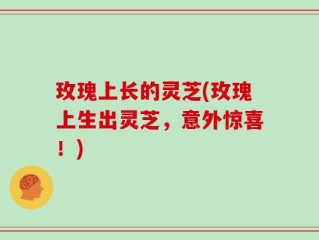 玫瑰上长的灵芝(玫瑰上生出灵芝，意外惊喜！)