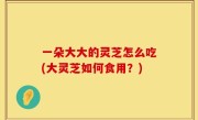 一朵大大的灵芝怎么吃(大灵芝如何食用？)