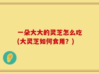 一朵大大的灵芝怎么吃(大灵芝如何食用？)