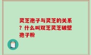 灵芝孢子与灵芝的关系？什么叫双芝灵芝破壁孢子粉