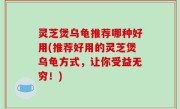 灵芝煲乌龟推荐哪种好用(推荐好用的灵芝煲乌龟方式，让你受益无穷！)