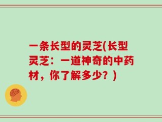 一条长型的灵芝(长型灵芝：一道神奇的中药材，你了解多少？)