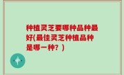 种植灵芝要哪种品种最好(最佳灵芝种植品种是哪一种？)