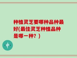 种植灵芝要哪种品种最好(最佳灵芝种植品种是哪一种？)