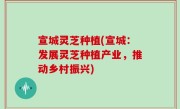 宣城灵芝种植(宣城：发展灵芝种植产业，推动乡村振兴)