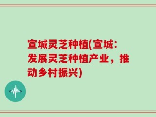 宣城灵芝种植(宣城：发展灵芝种植产业，推动乡村振兴)