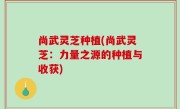 尚武灵芝种植(尚武灵芝：力量之源的种植与收获)