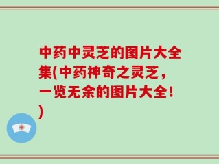 中药中灵芝的图片大全集(中药神奇之灵芝，一览无余的图片大全！)