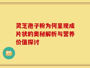 灵芝孢子粉为何呈现成片状的奥秘解析与营养价值探讨