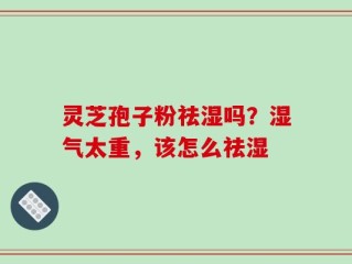 灵芝孢子粉祛湿吗？湿气太重，该怎么祛湿