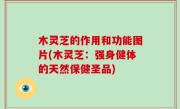 木灵芝的作用和功能图片(木灵芝：强身健体的天然保健圣品)