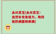 永川灵芝(永川灵芝：自然补充免疫力，助你抵抗病菌和疾病)