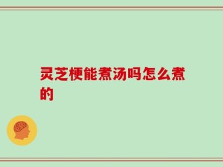 灵芝梗能煮汤吗怎么煮的
