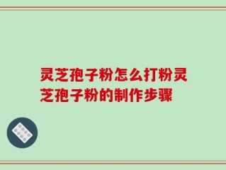 灵芝孢子粉怎么打粉灵芝孢子粉的制作步骤
