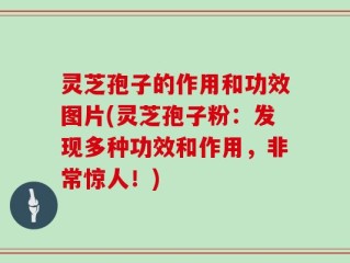 灵芝孢子的作用和功效图片(灵芝孢子粉：发现多种功效和作用，非常惊人！)