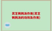 灵芝鹌鹑汤作用(灵芝鹌鹑汤的功效及作用)
