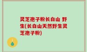 灵芝孢子粉长白山 野生(长白山天然野生灵芝孢子粉)
