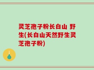 灵芝孢子粉长白山 野生(长白山天然野生灵芝孢子粉)