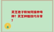 灵芝孢子粉如何接种母种？灵芝种植技巧分享？