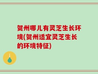 贺州哪儿有灵芝生长环境(贺州适宜灵芝生长的环境特征)