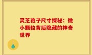 灵芝孢子尺寸探秘:微小颗粒背后隐藏的神奇世界