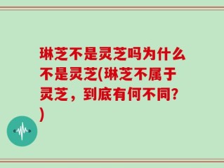 琳芝不是灵芝吗为什么不是灵芝(琳芝不属于灵芝，到底有何不同？)
