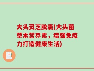大头灵芝胶囊(大头菌草本营养素，增强免疫力打造健康生活)