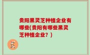 贵阳黑灵芝种植企业有哪些(贵阳有哪些黑灵芝种植企业？)