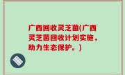 广西回收灵芝菌(广西灵芝菌回收计划实施，助力生态保护。)