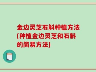 金边灵芝石斛种植方法(种植金边灵芝和石斛的简易方法)