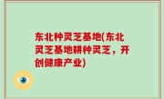 东北种灵芝基地(东北灵芝基地耕种灵芝，开创健康产业)