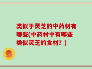 类似于灵芝的中药材有哪些(中药材中有哪些类似灵芝的食材？)