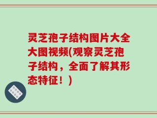 灵芝孢子结构图片大全大图视频(观察灵芝孢子结构，全面了解其形态特征！)