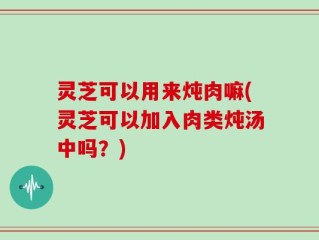 灵芝可以用来炖肉嘛(灵芝可以加入肉类炖汤中吗？)