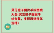 灵芝孢子图片手绘图案大全(灵芝孢子图案手绘合集，多样风格任你选择)