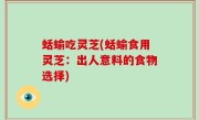 蛞蝓吃灵芝(蛞蝓食用灵芝：出人意料的食物选择)