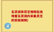 五灵洞采灵芝视频在线观看五灵洞内采集灵芝的实拍视频)