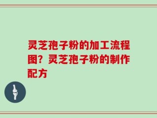 灵芝孢子粉的加工流程图？灵芝孢子粉的制作配方