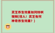 灵芝养生效果如何样啊视频(惊人！灵芝有何神奇养生效果？)