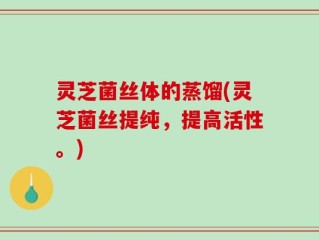 灵芝菌丝体的蒸馏(灵芝菌丝提纯，提高活性。)
