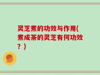 灵芝煮的功效与作用(煮成茶的灵芝有何功效？)