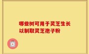 哪些树可用于灵芝生长以制取灵芝孢子粉