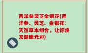 西洋参灵芝金银花(西洋参、灵芝、金银花：天然草本组合，让你焕发健康光彩)
