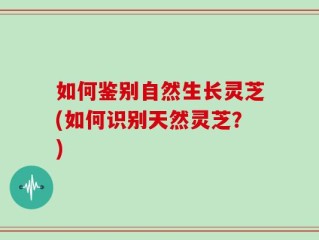 如何鉴别自然生长灵芝(如何识别天然灵芝？)