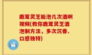 鹿茸灵芝能泡几次酒啊视频(教你鹿茸灵芝酒泡制方法，多次沉香、口感独特)