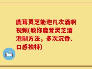 鹿茸灵芝能泡几次酒啊视频(教你鹿茸灵芝酒泡制方法，多次沉香、口感独特)
