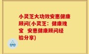小灵芝大功效安惠健康顾问(小灵芝：健康瑰宝  安惠健康顾问经验分享)