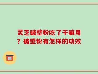 灵芝破壁粉吃了干嘛用？破壁粉有怎样的功效